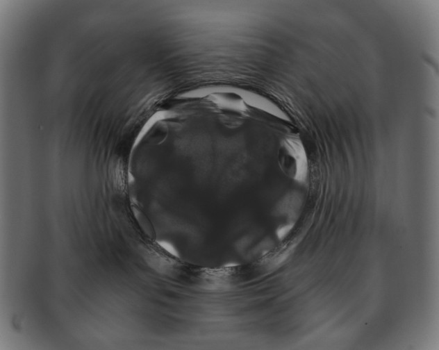 X0000091220143200709061507