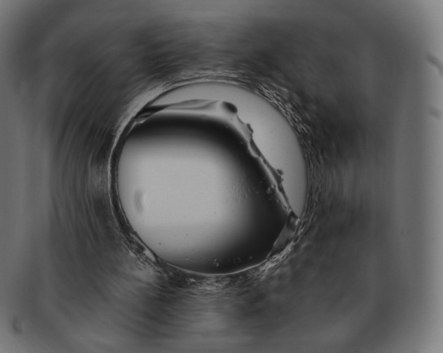 X0000091220148200709061506