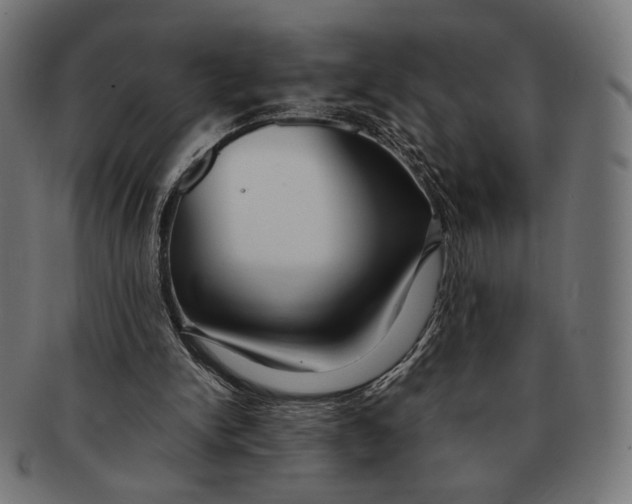 X0000091220150200709061506