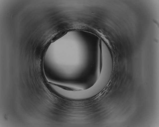 X0000091220154200709061506