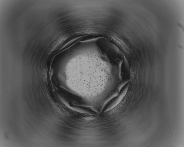 X0000091220158200709061506