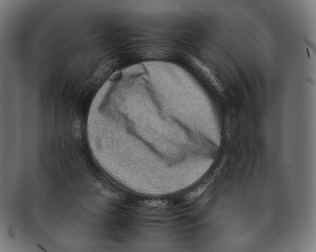 X0000091220161200709061506