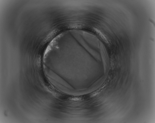 X0000091220163200709061506