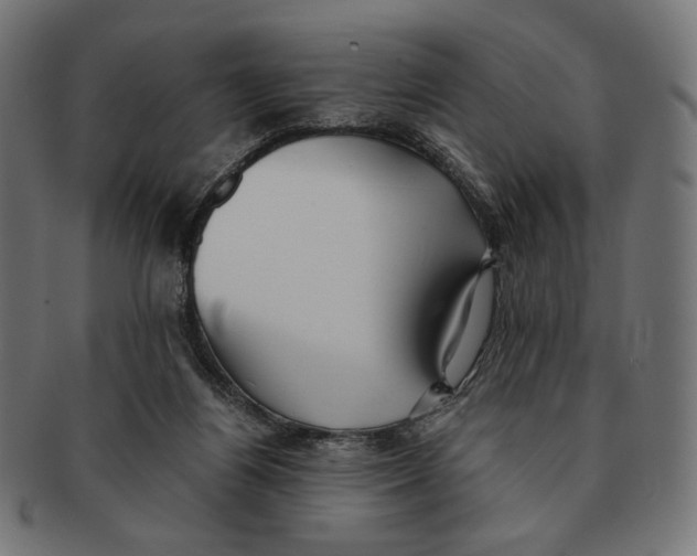 X0000091220164200709061506