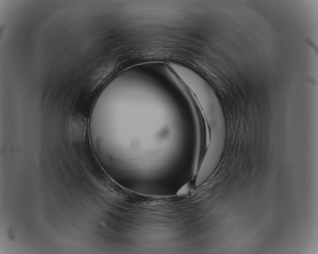 X0000091220168200709061506