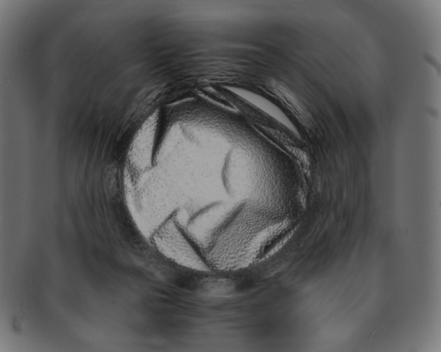 X0000091220169200709061506