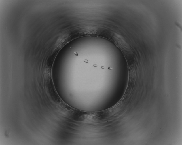 X0000091220172200709061506