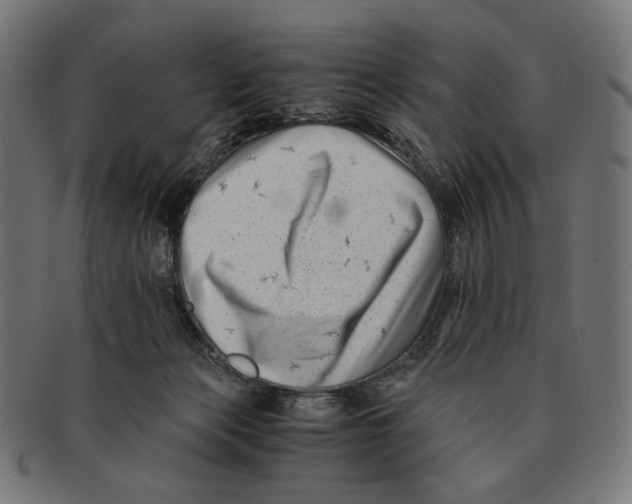 X0000091220173200709061506