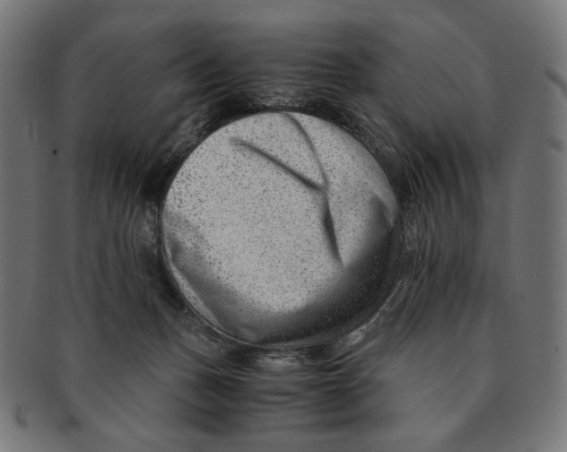 X0000091220175200709061506