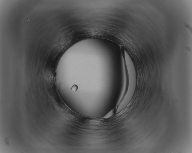 X0000091220176200709061506