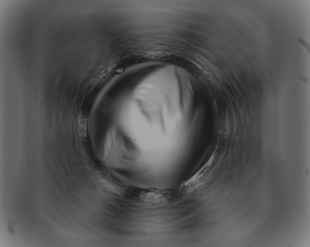 X0000091220180200709061506