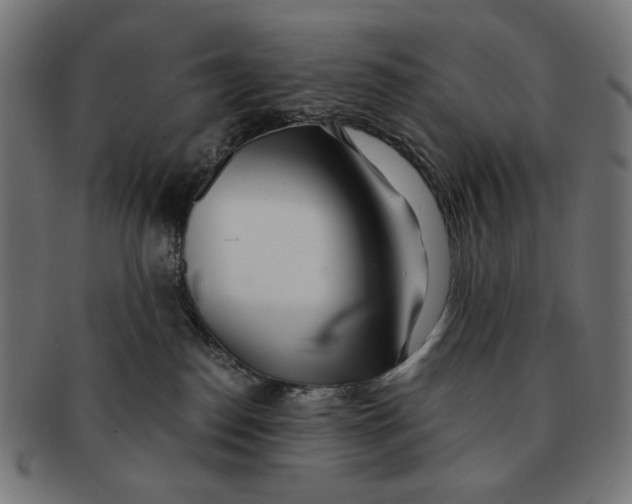 X0000091220186200709061506