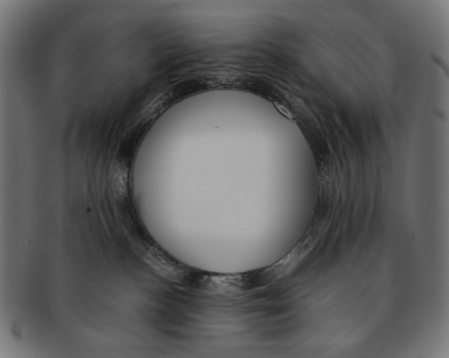 X0000091220188200709061506