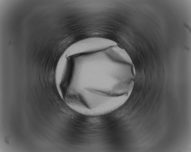 X0000091220189200709061506