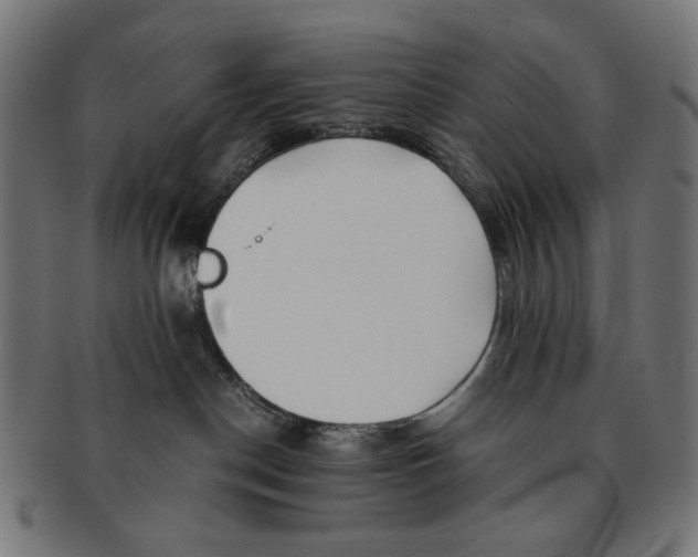 X0000091220190200709061506