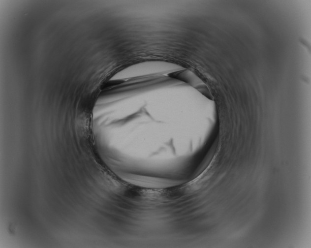 X0000091220192200709061506