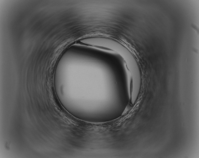 X0000091220193200709061506