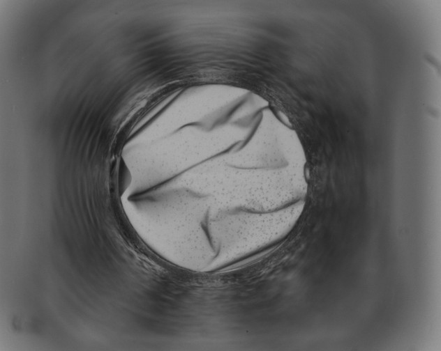 X0000091220194200709061506