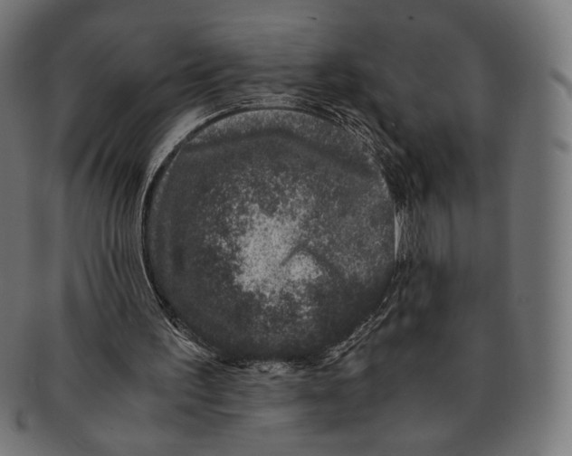 X0000091220195200709061506