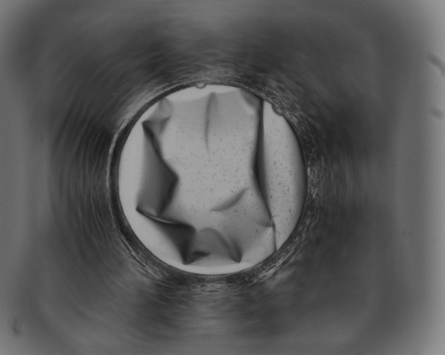 X0000091220196200709061506