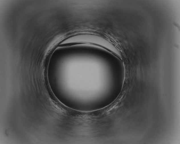 X0000091220197200709061506