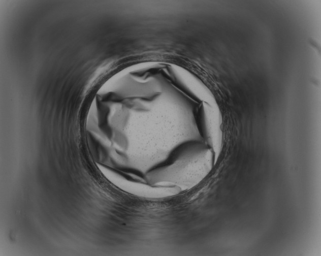 X0000091220198200709061506