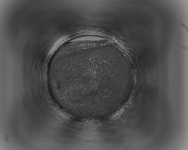 X0000091220199200709061506