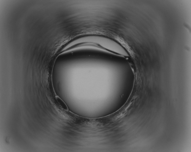 X0000091220201200709061506