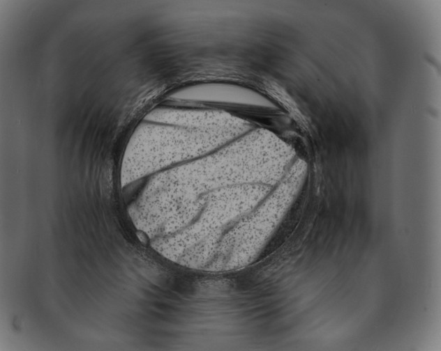 X0000091220202200709061506