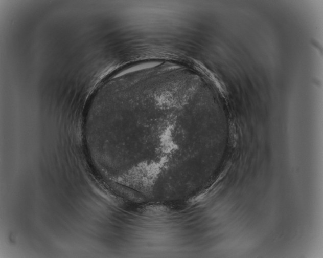 X0000091220203200709061506