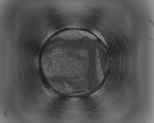 X0000091220204200709061506