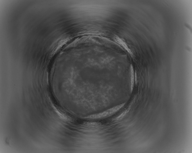 X0000091220205200709061506