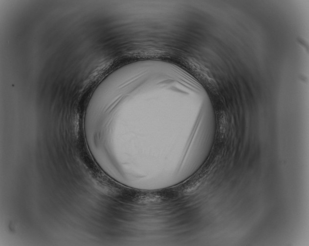 X0000091220206200709061506