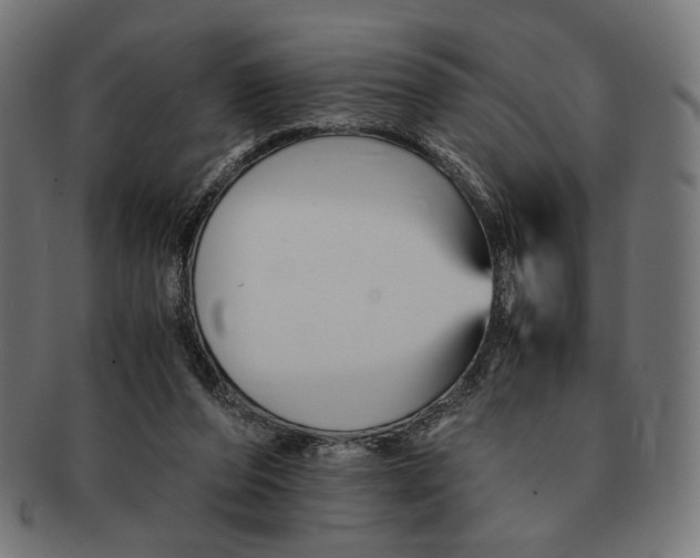 X0000091220208200709061506