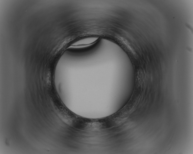 X0000091220212200709061506