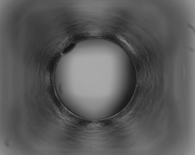 X0000091220213200709061506