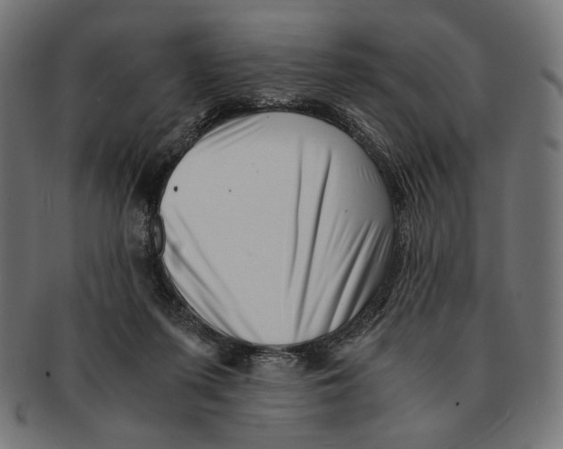 X0000091220215200709061506