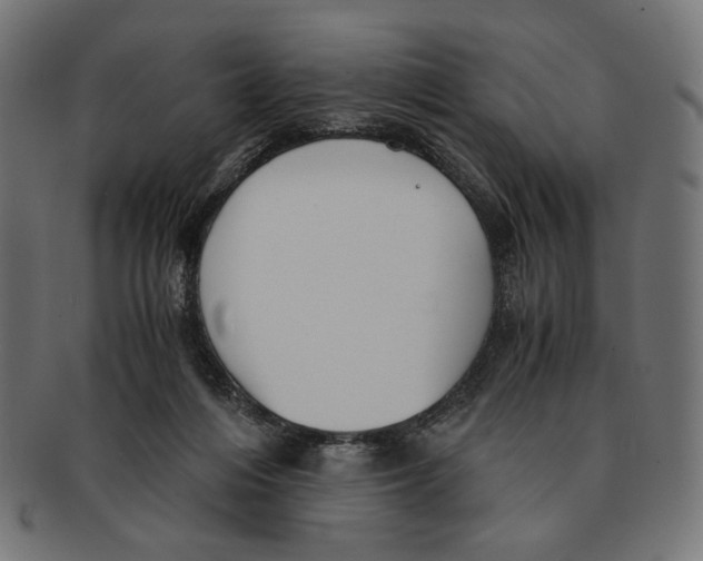 X0000091220216200709061506