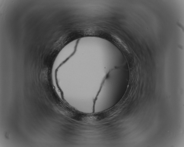 X0000091220217200709061506