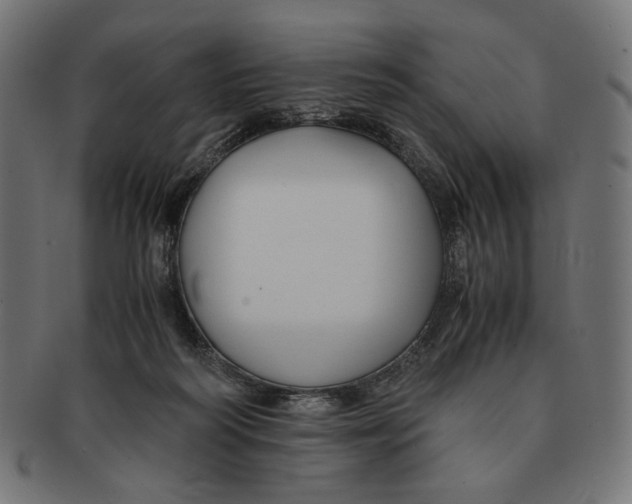 X0000091220218200709061506