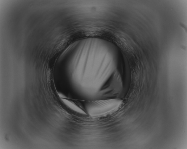 X0000091220219200709061506