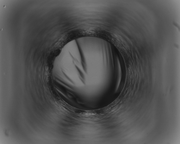 X0000091220223200709061506