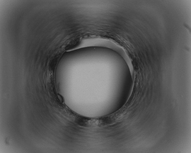 X0000091220225200709061506