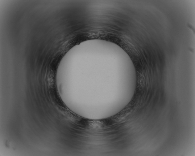 X0000091220226200709061506