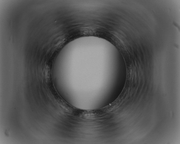 X0000091220228200709061506