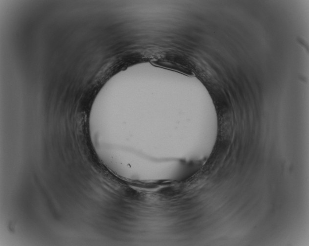 X0000091220229200709061506