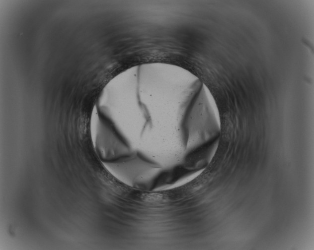 X0000091220230200709061505