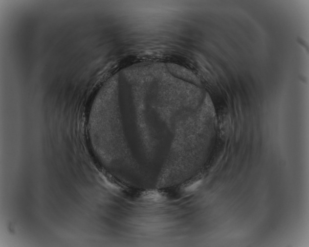 X0000091220231200709061505