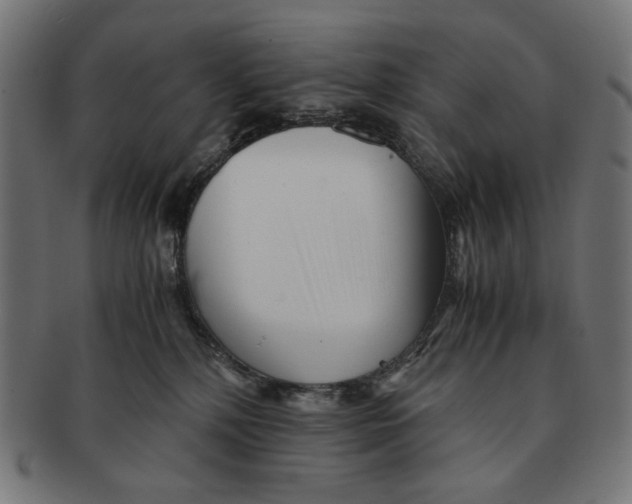 X0000091220232200709061505