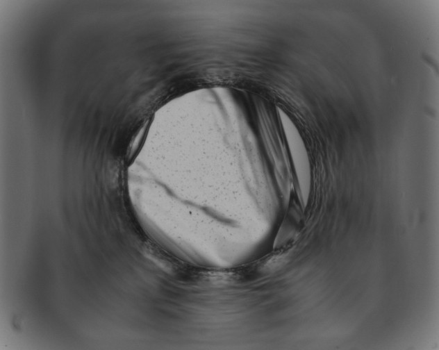 X0000091220233200709061505